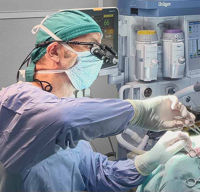 Surgipet-expert-vet-surgery-san-diego-521x448x Expert veterinary surgery in San Diego, California