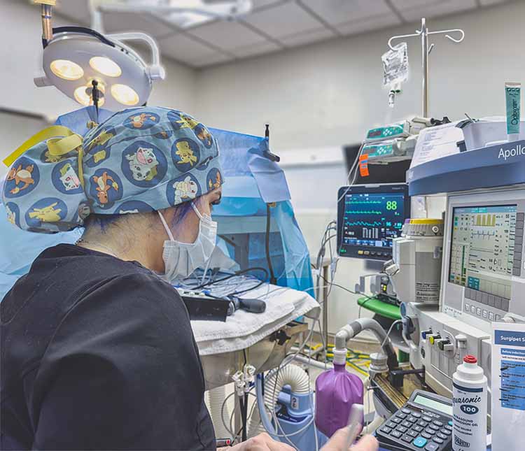 cutting-edge-Surgipet-San-Diego-a Surgipet: cutting edge pet surgery in San Diego